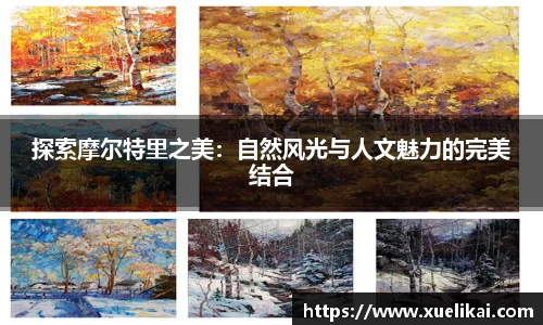 xk星空官方网站